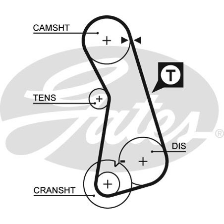 Gates 5308XS Cambelt