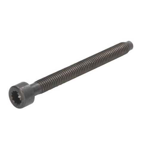 Genuine 038103385A Injector Bolt (M6x64mm)
