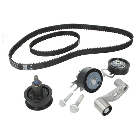 INA 530008910 Cambelt Kit