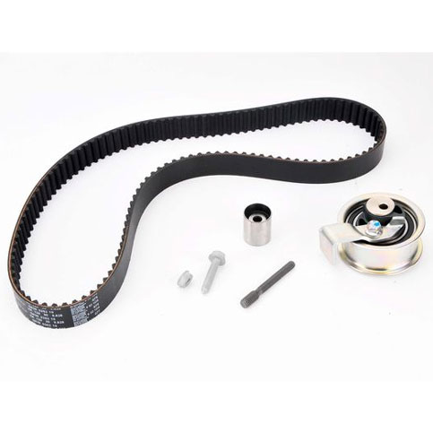 INA 530009110 Cambelt Kit