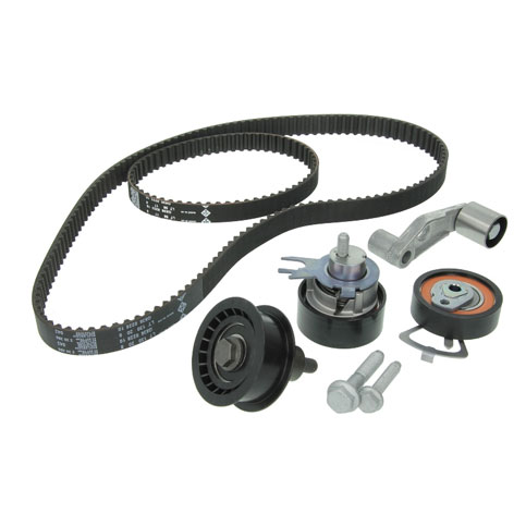 INA 530036010 Cambelt Kit