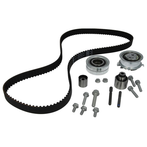 INA 530055010 Cambelt Kit