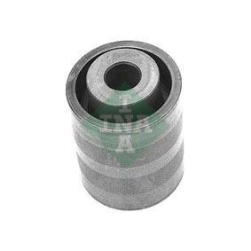 INA 532012210 Cambelt Idler Roller